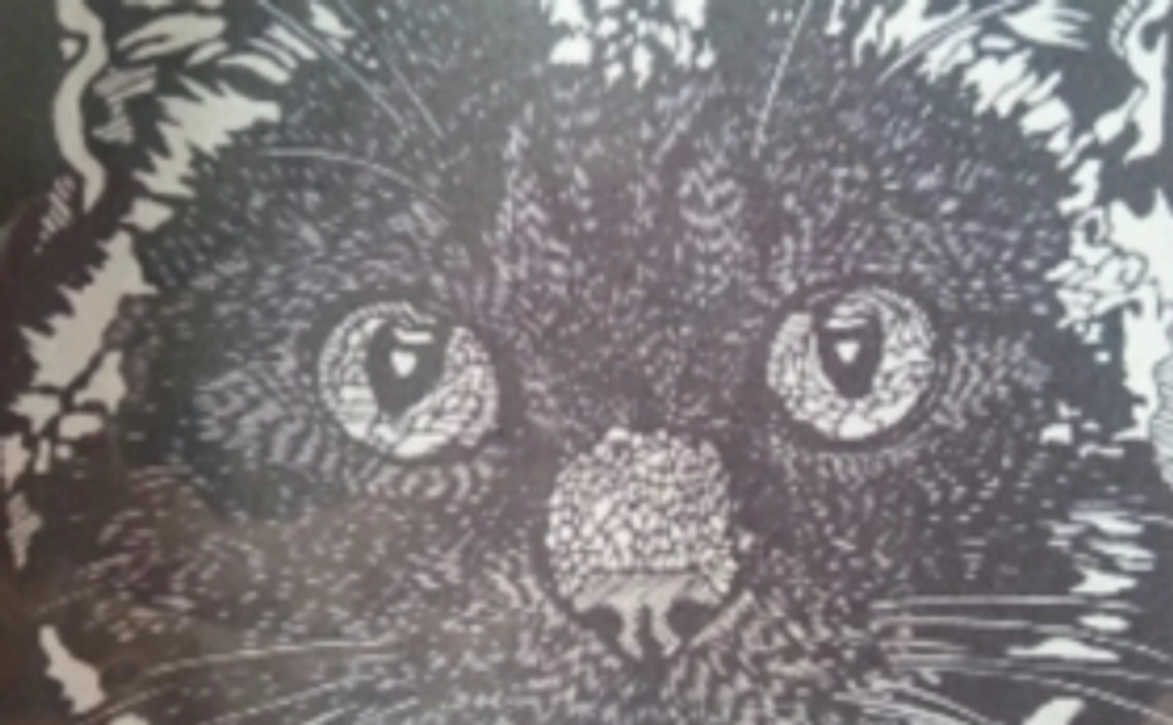 猫のイラスト入りポストカード:3枚