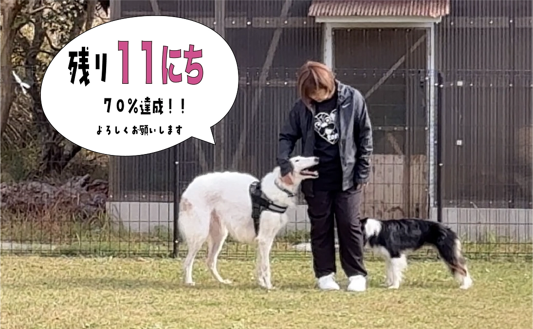 リッツ！トライアルに行きました！残り１１日！