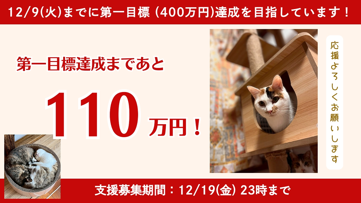 🍀12/9（火）までに第一目標達成を目指しています！あと4日、残り110万円です🙇‍♀️💦