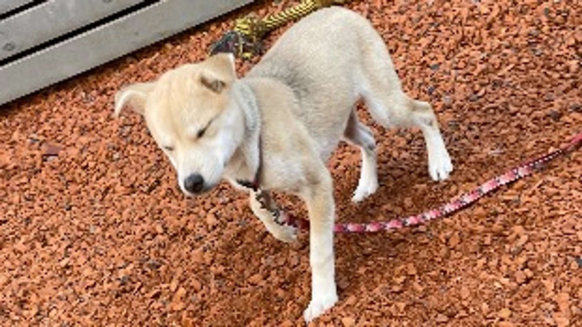 皆さんの力と共に『命』を繋ぐ