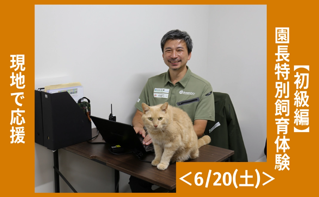 【12/5追加】現地で応援|【初級編】園長特別飼育体験<6/20(土)>