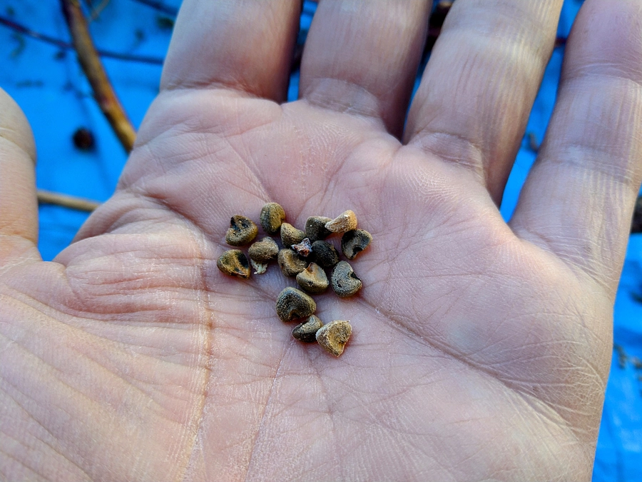 5日目の活動報告