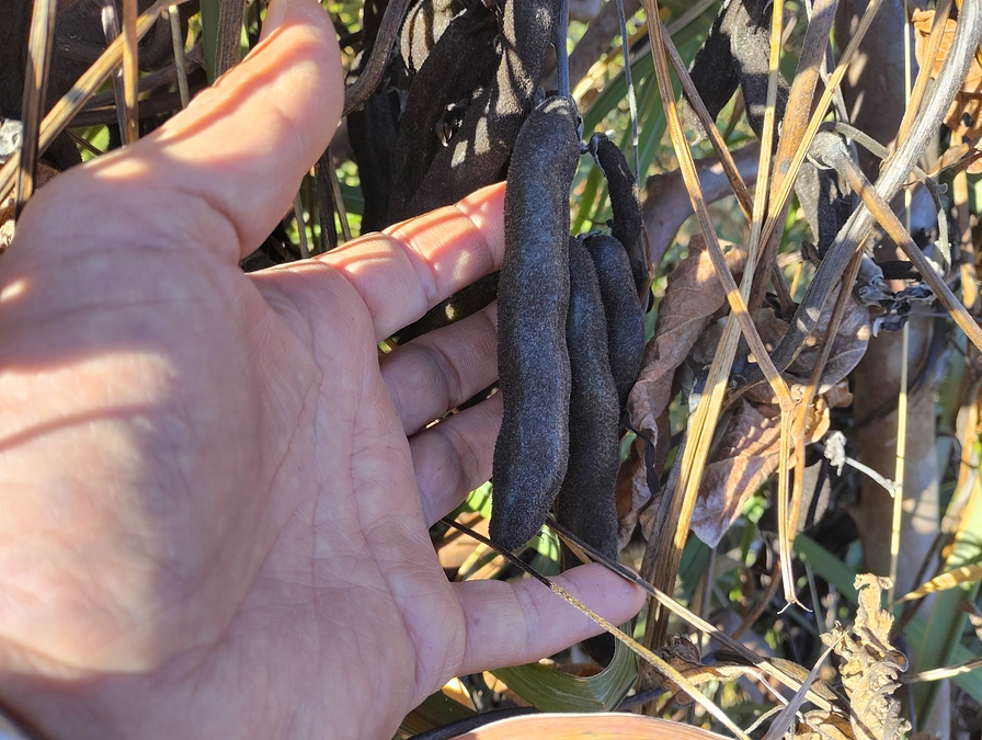 5日目の活動報告　その2