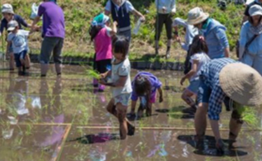 【自然に触れ合う】母袋での体験会参加券コース