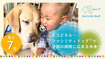 入院する子どもたちを笑顔に!ファシリティドッグ育成基金2025 のトップ画像