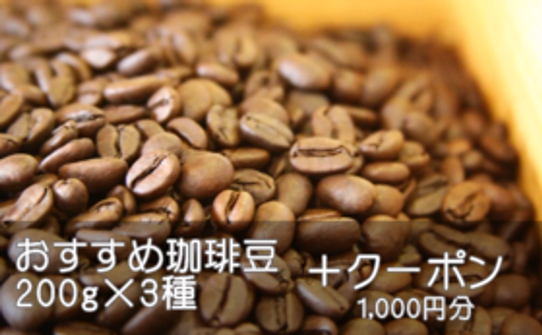 おすすめ珈琲豆詰め合わせ＆割引券《1万円B》