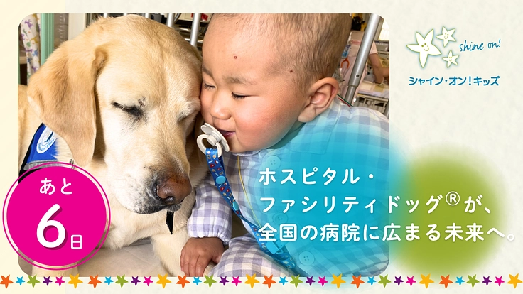 入院する子どもたちを笑顔に!ファシリティドッグ育成基金2025