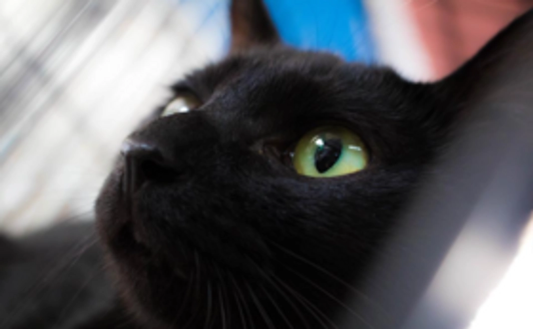 お礼のメール（写真付き）