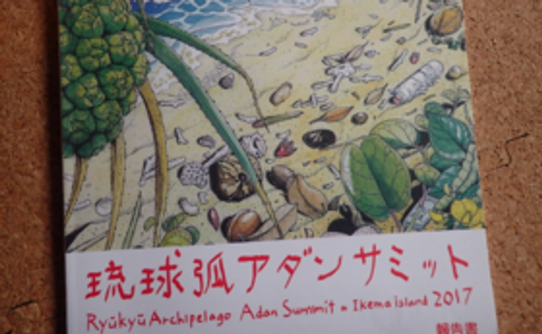 琉球弧アダンサミット2018の招待券セット