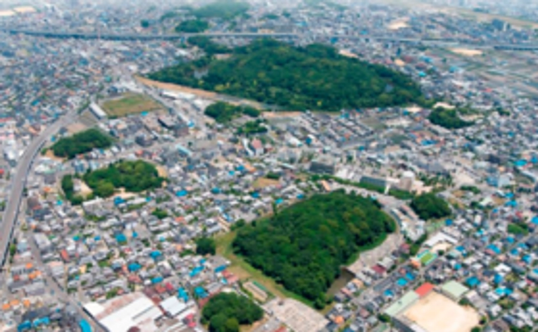 【プロジェクトサポーターコース】