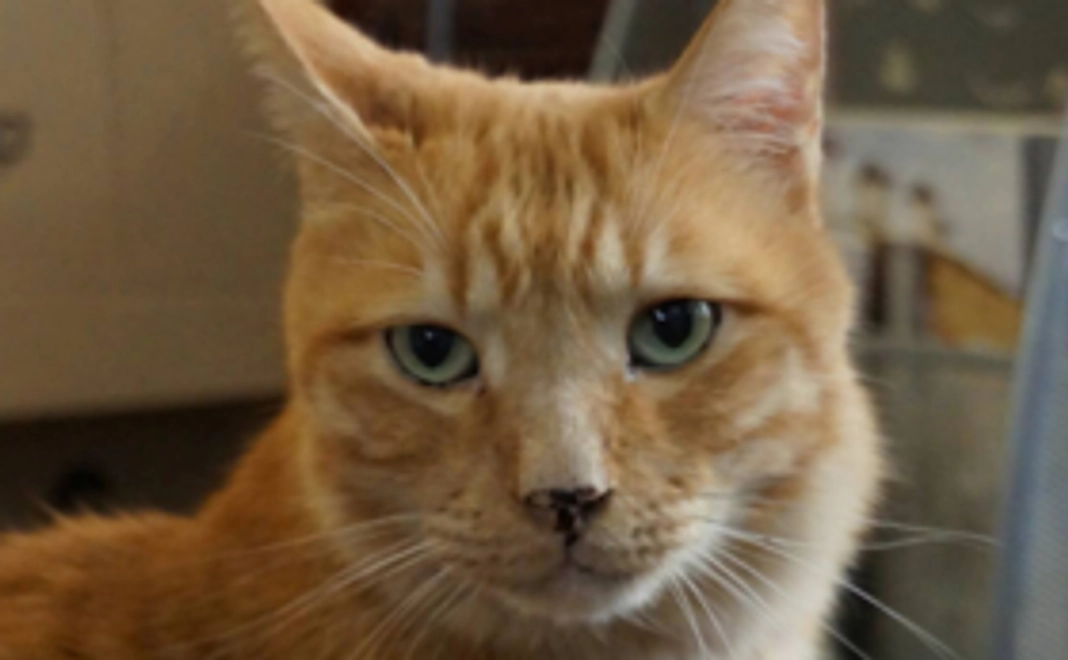 政五郎からお礼が届く！3,000円コース