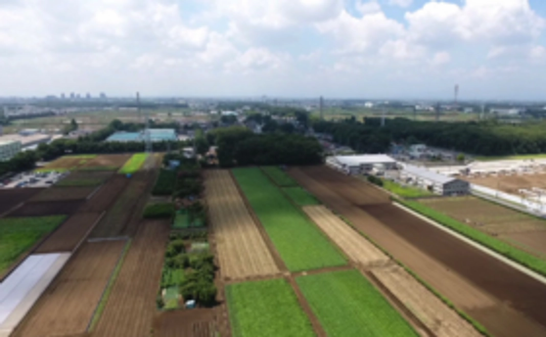 映画の最後にお名前を掲載