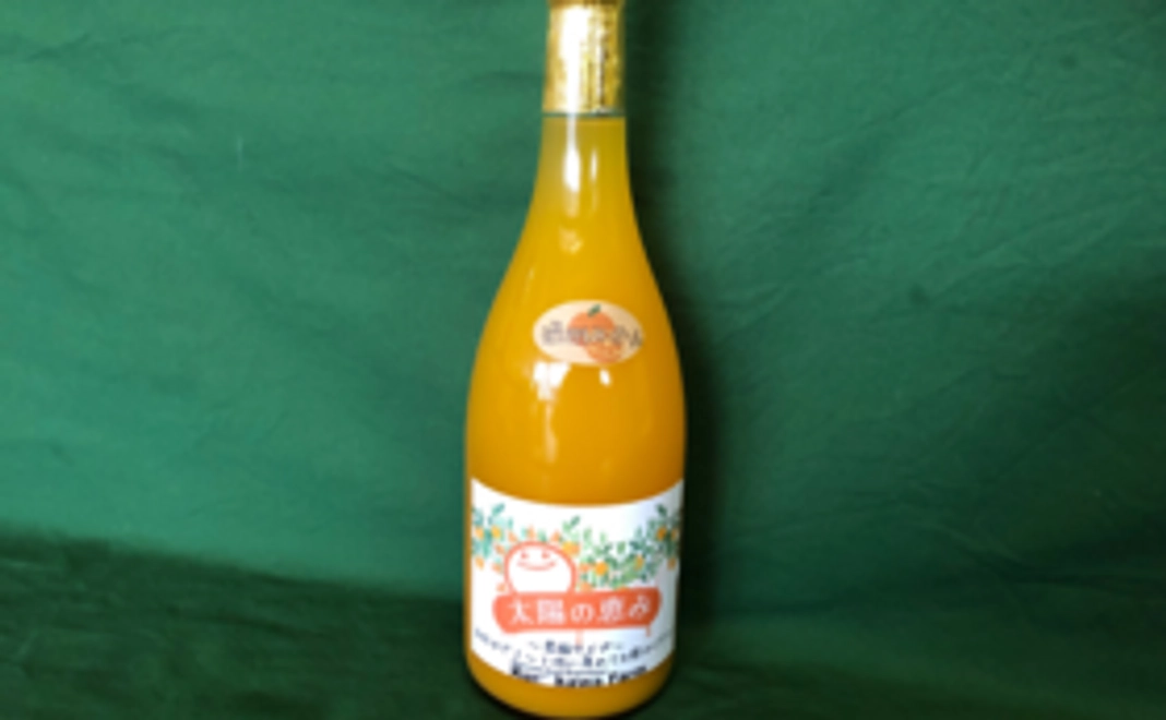 B．鹿児島の味コースA(みかんジュース)【全国のグルメな支援者様向け】