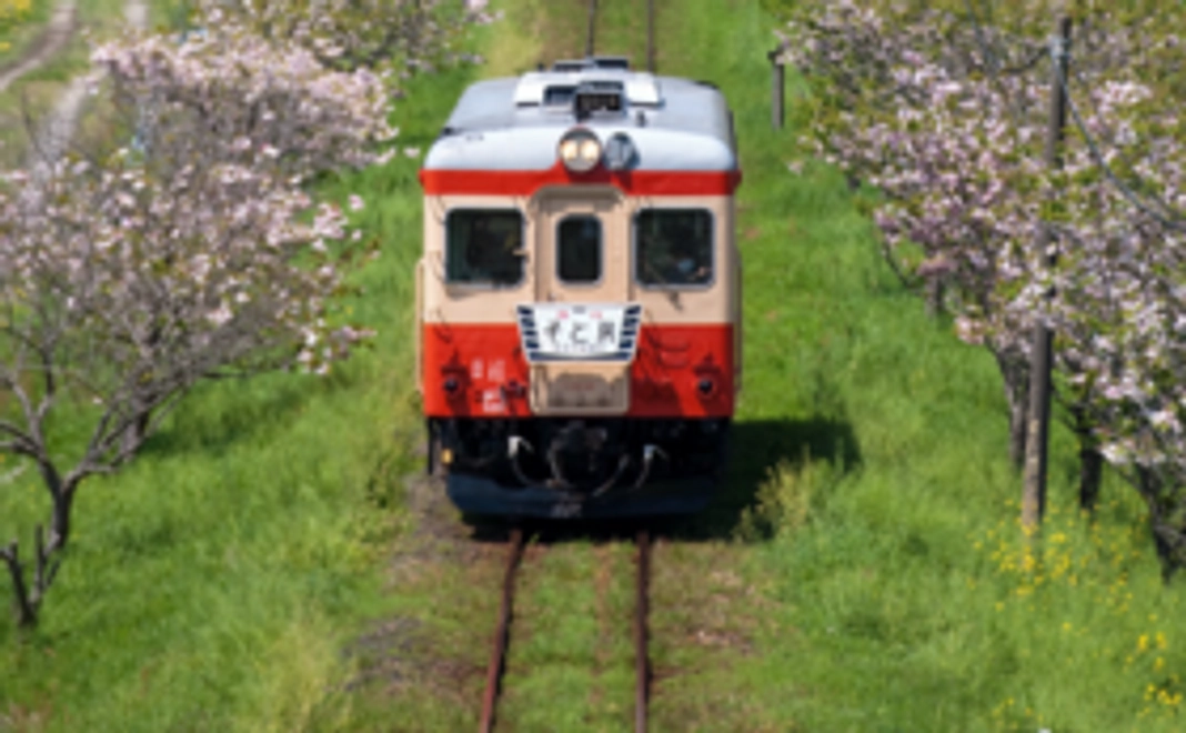 スタンダードコース【今回限定!キハ52 ミニ写真集】