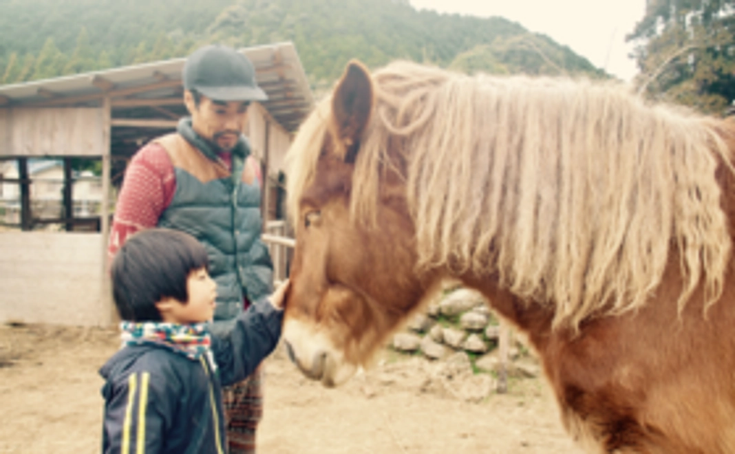 お礼状&花雪便り