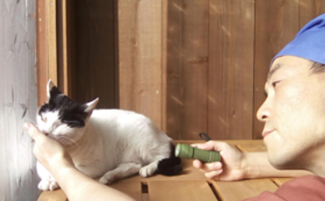 ★リターン追加【1匹の野良猫さんの不妊手術費用になります！】