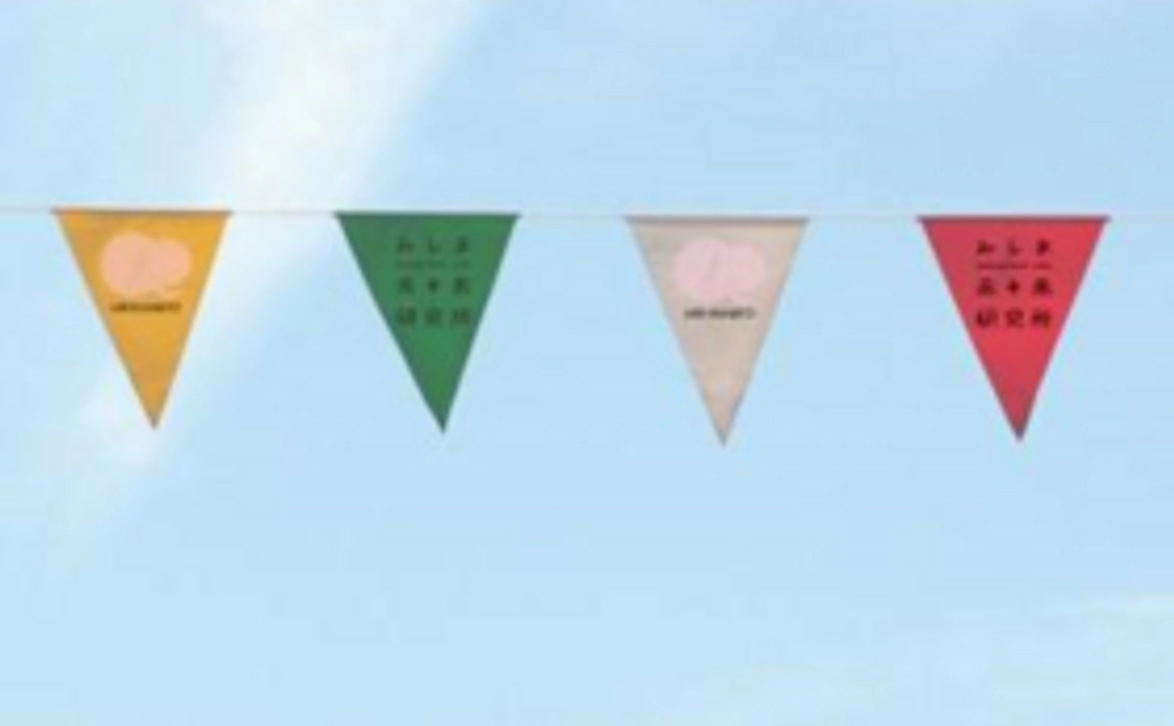 【参加して応援！】みしま未来研究所に飾る三角旗の１枚をデザイン！