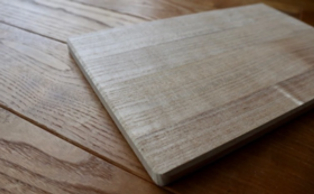 福島の森の応援団になろう!②