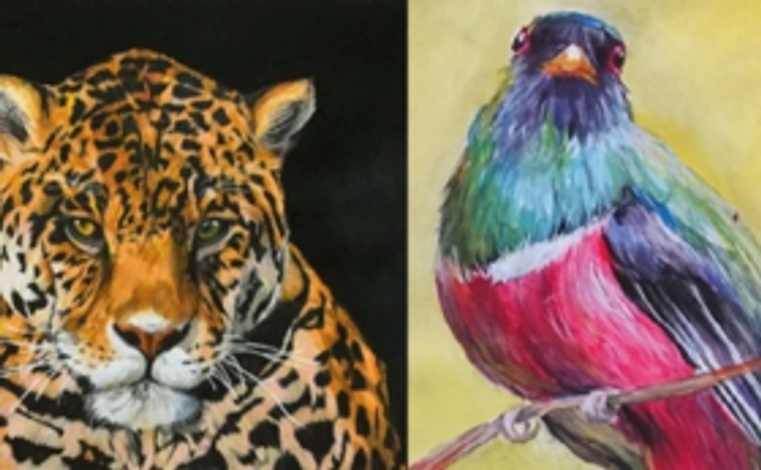 御礼のメッセージ&ポストカード