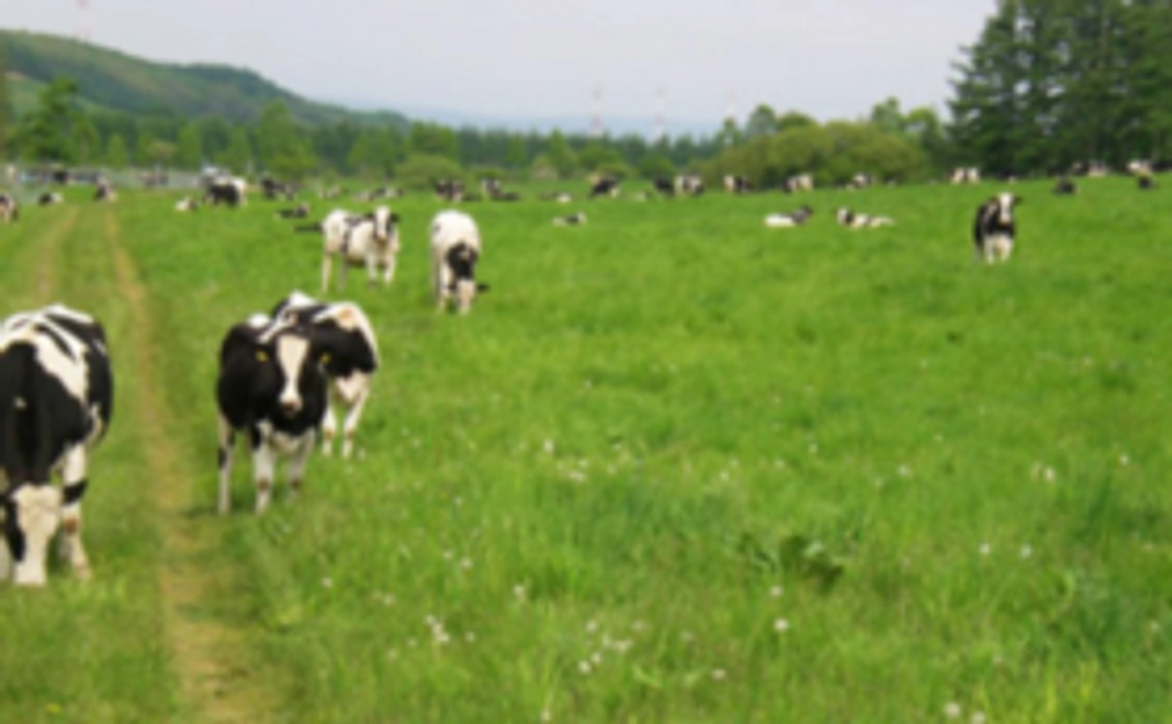 みなさんの力の集結で芽室町花火大会を盛り上げよう！