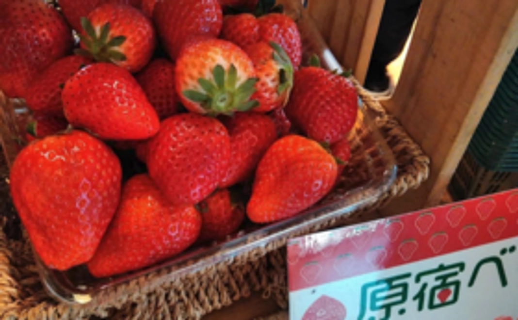 「原宿ベリー」食べ比べセット