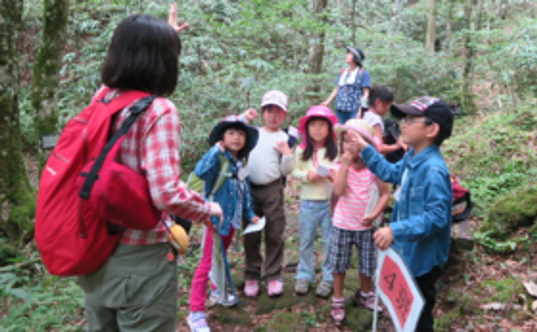 子どもたちを原生林に連れていきたい！！～本当の森体験ツアー