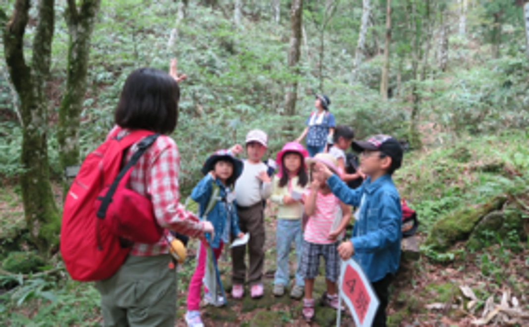 子どもたちを原生林に連れていきたい！！～本当の森体験ツアー