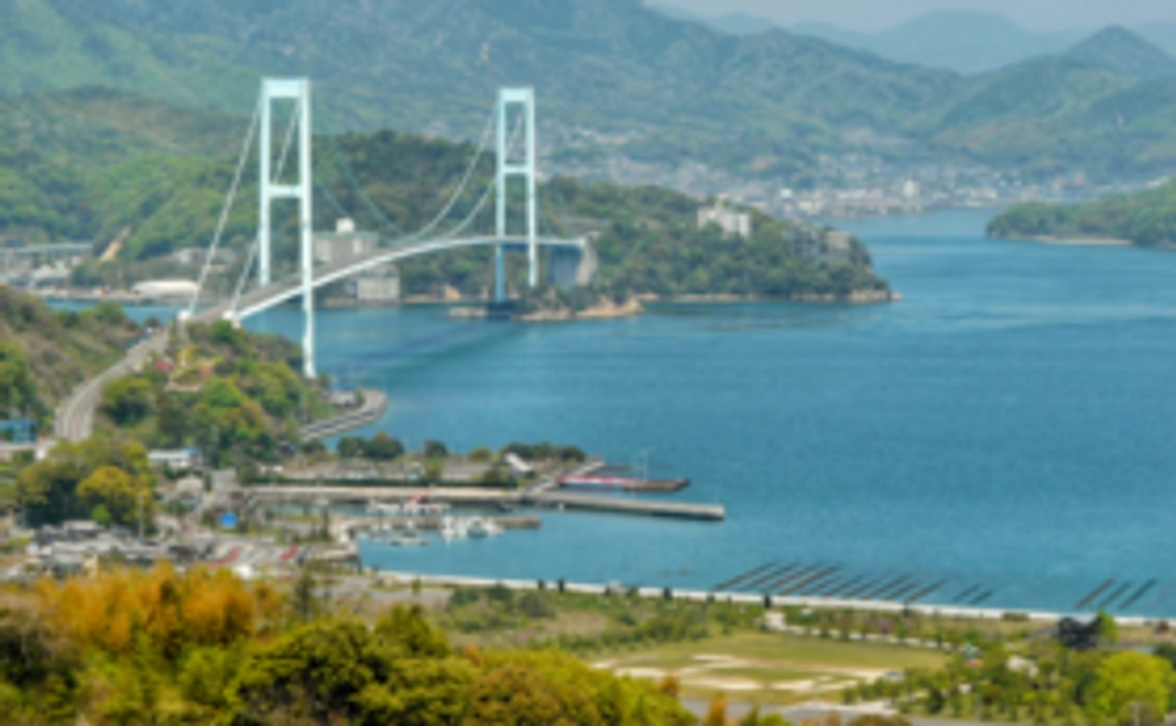 【プロジェクト応援】お礼状