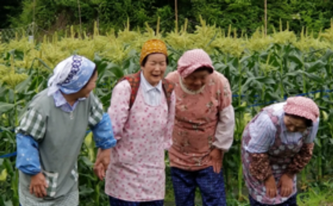 【5人限定】高橋農家ファッション3点セット