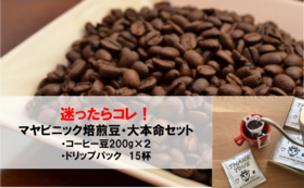 【単発便｜焙煎豆】焙煎したマヤビニックコーヒー大本命セット