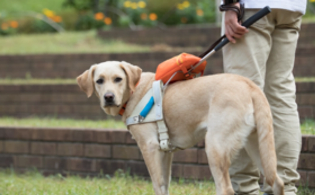 お気持ちコース