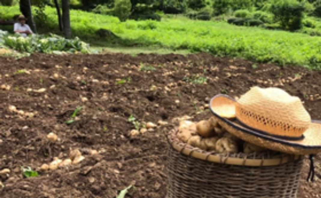 【じゃが芋コース】檜原村名産品!じゃが芋+特産品、合計5㎏!をお届けします!