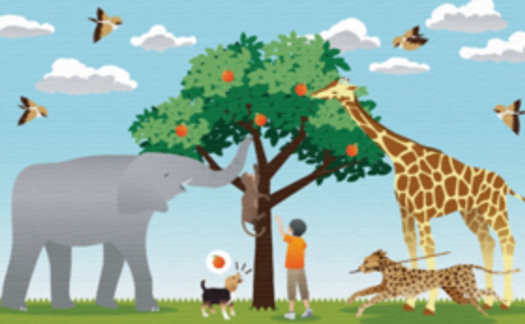 【筑波技術大学を応援！】活動報告書