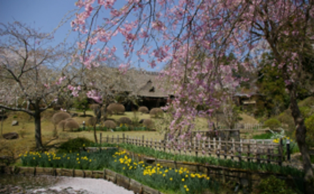 【各種特典あり】１万円の寄附コース