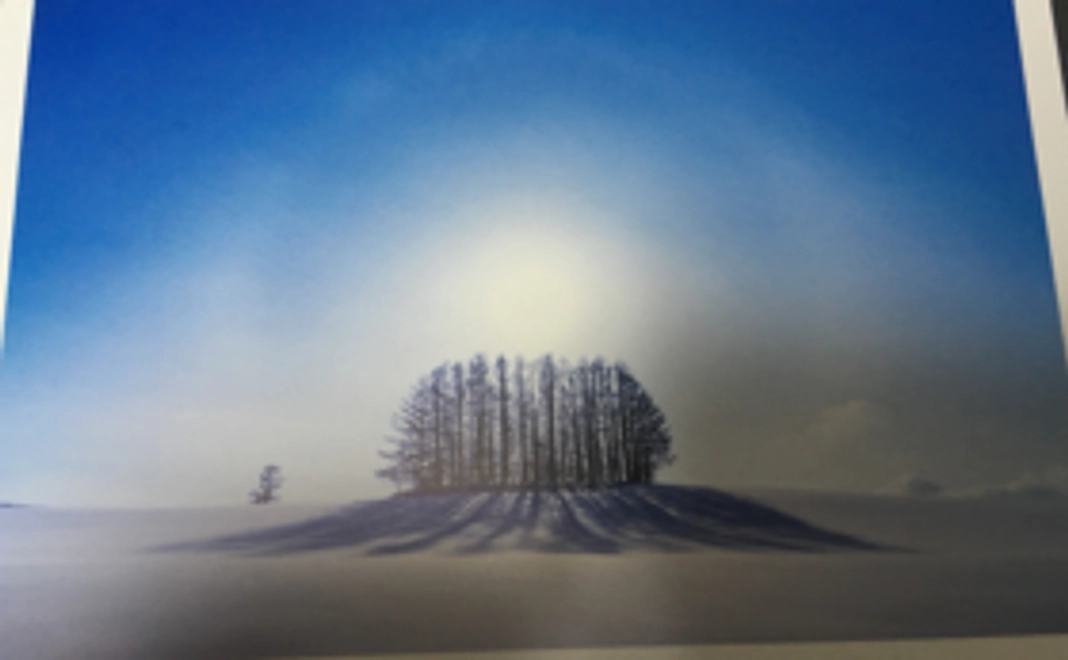 四季の寄り添い葉書12回