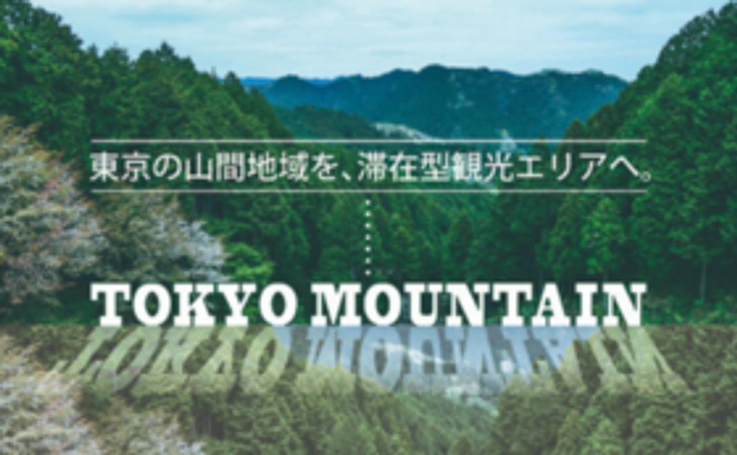 【東京マウンテンを応援】コース