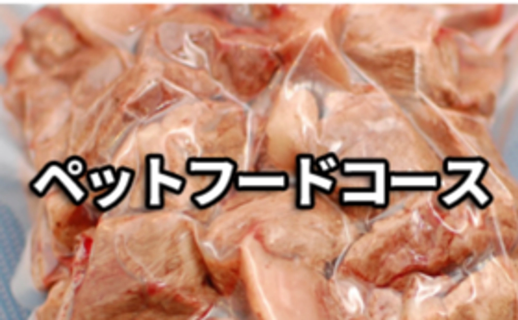 ペットフードコース