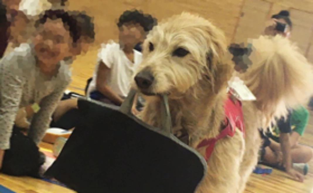 協会オリジナル『チャリティバッチ』