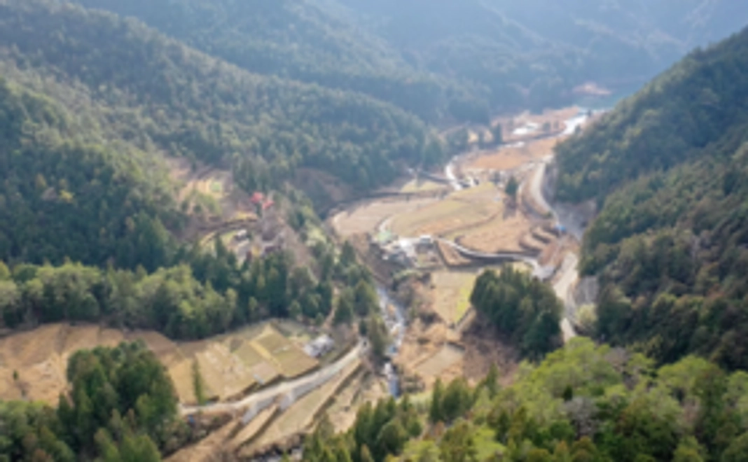 お気持ちコース