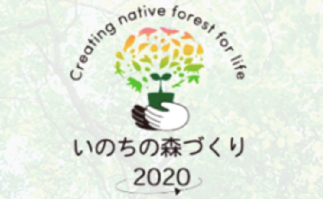 地球環境をともに守ろう｜いのちの森づくり2020↗を応援