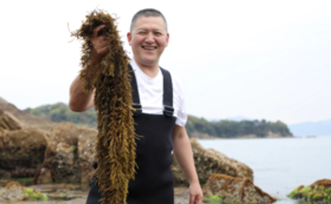 海の男をとにかく応援する