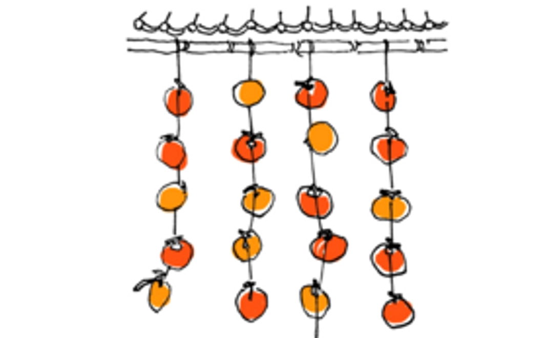 お気軽応援コース