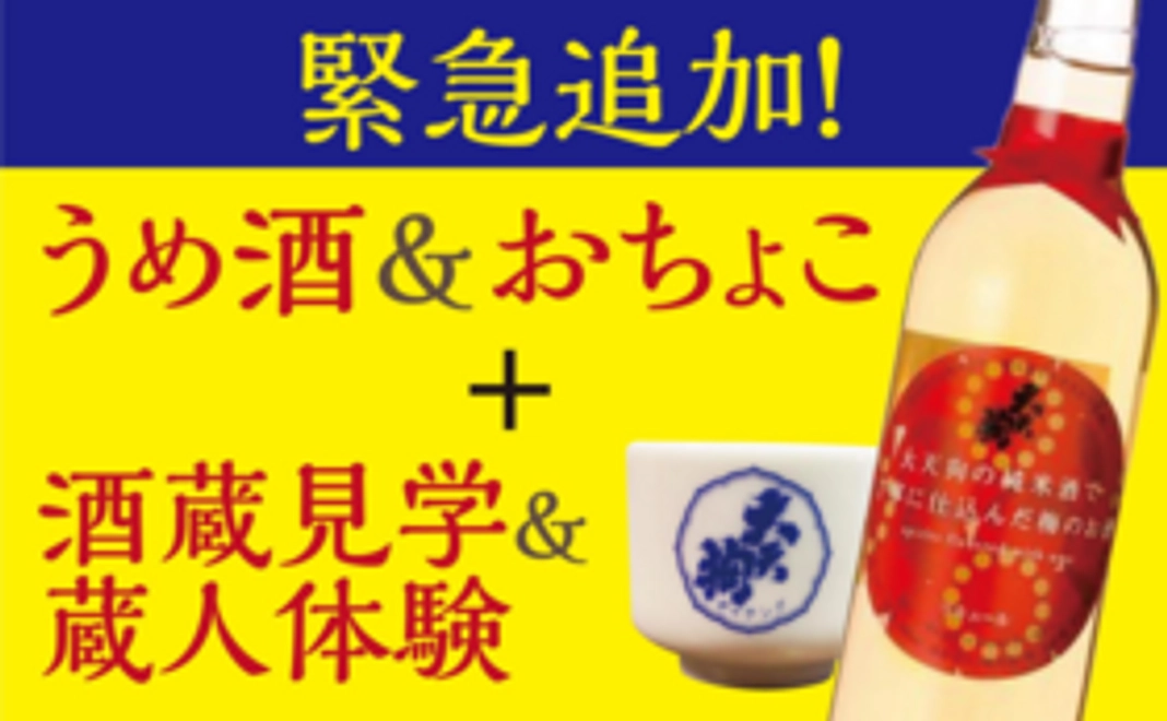 ＜お越しになれる方向け＞うめ酒＋おちょこ＋酒蔵見学＆擬似体験（試飲も可能！）