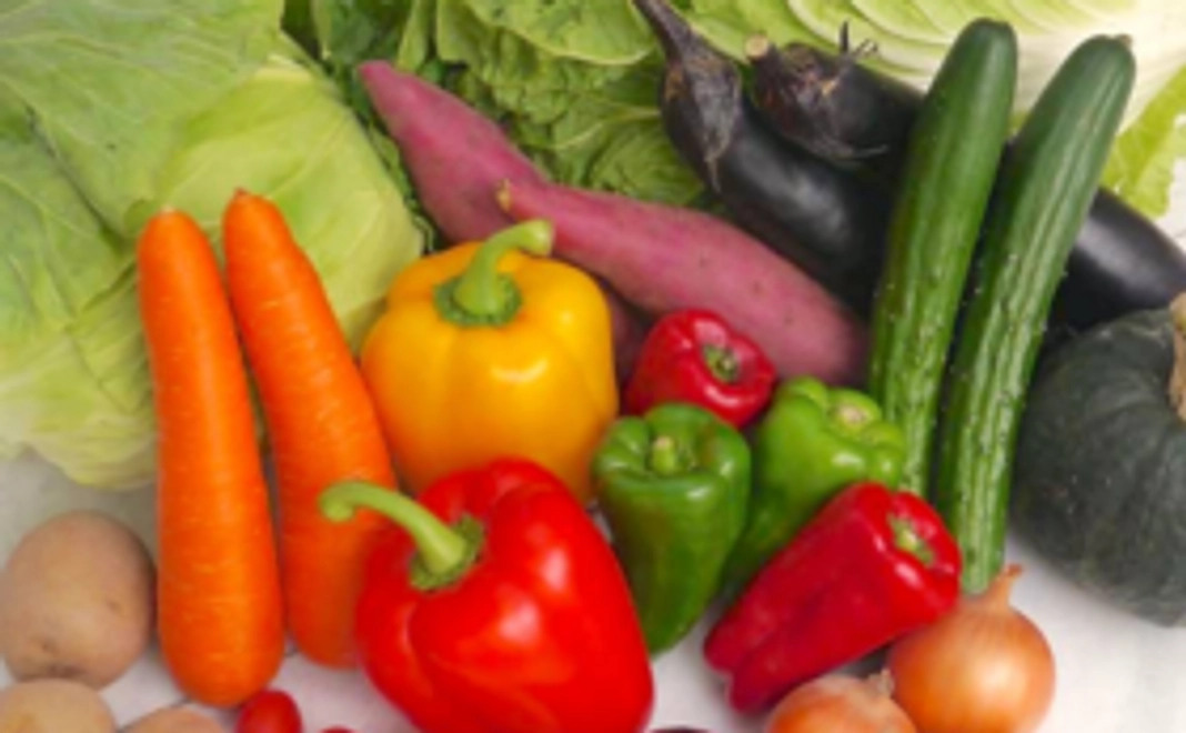 仙台沿岸の若手生産者が育てた野菜7種の野菜セット