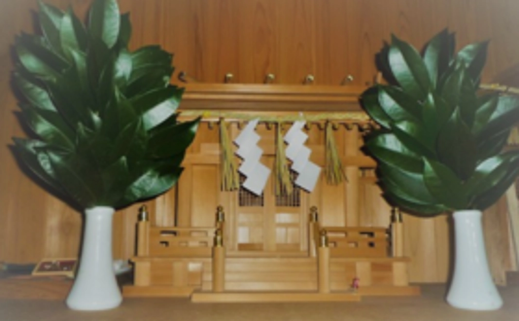 リターン不要の方【3,000円コース】