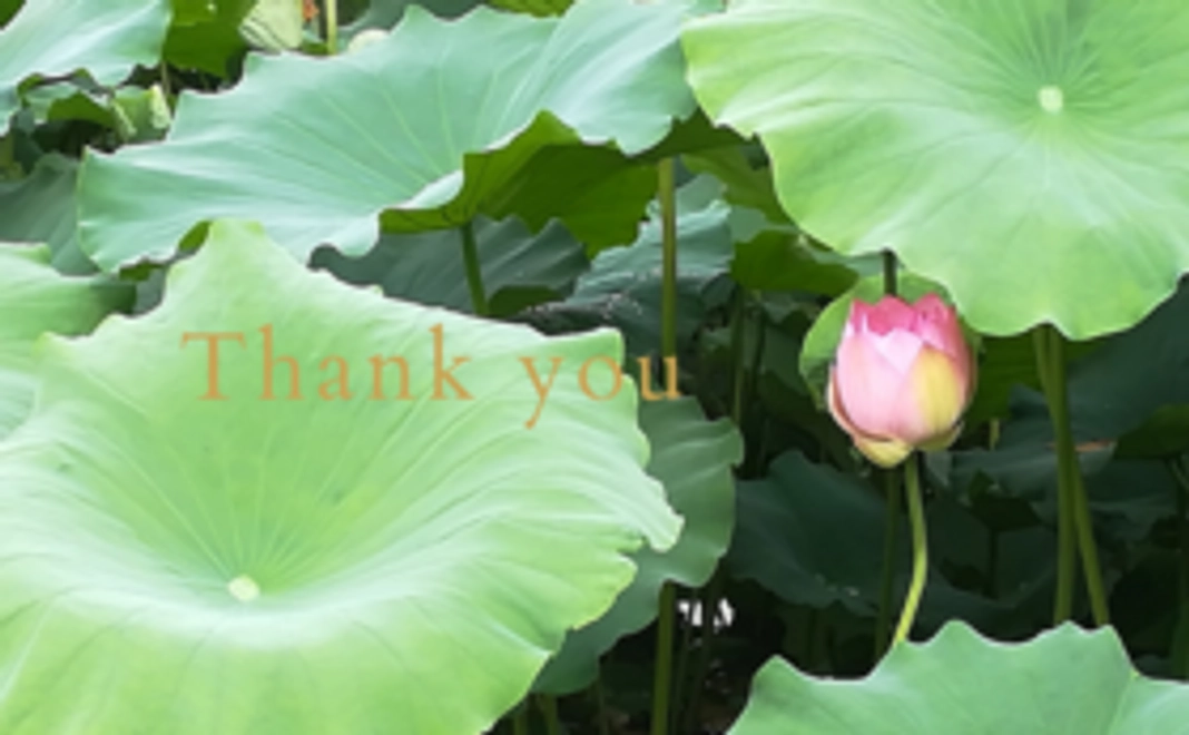 【KR Photo Interior 応援コース】