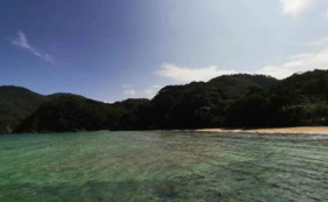 蒲井・旭地区応援