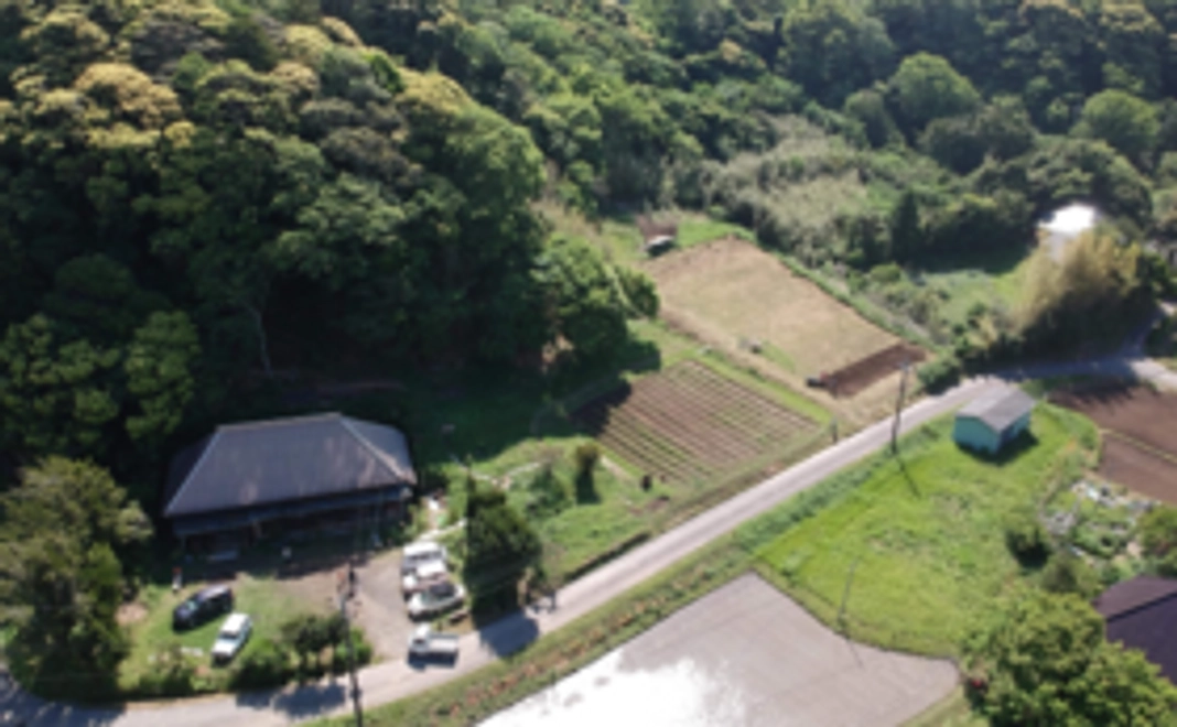 「お気持ち応援」コース