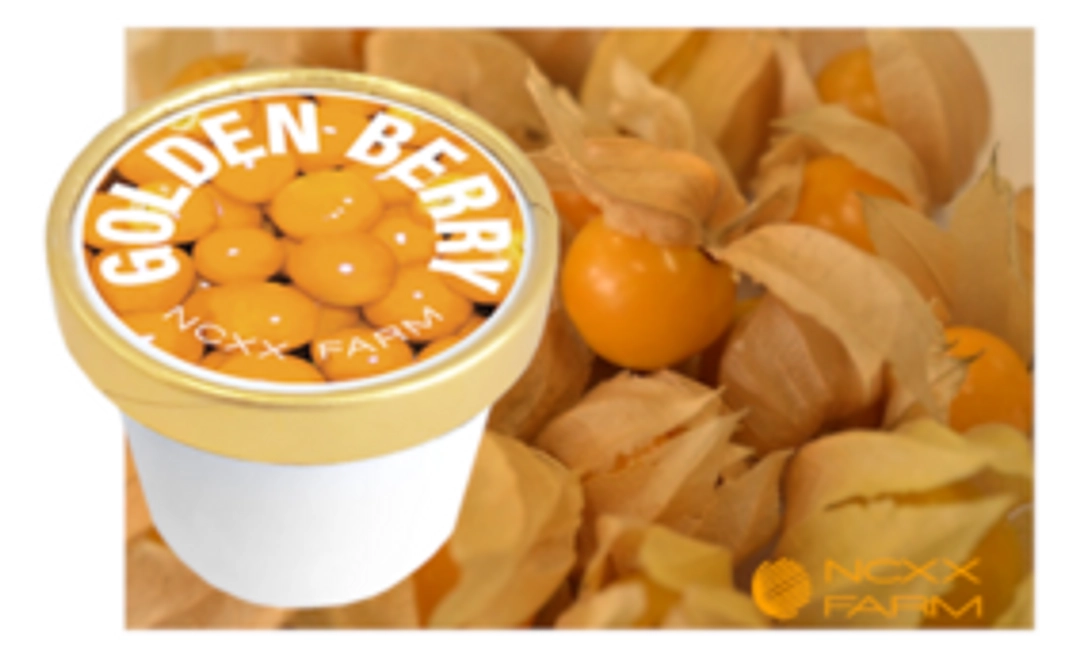 3,000円ご支援コース