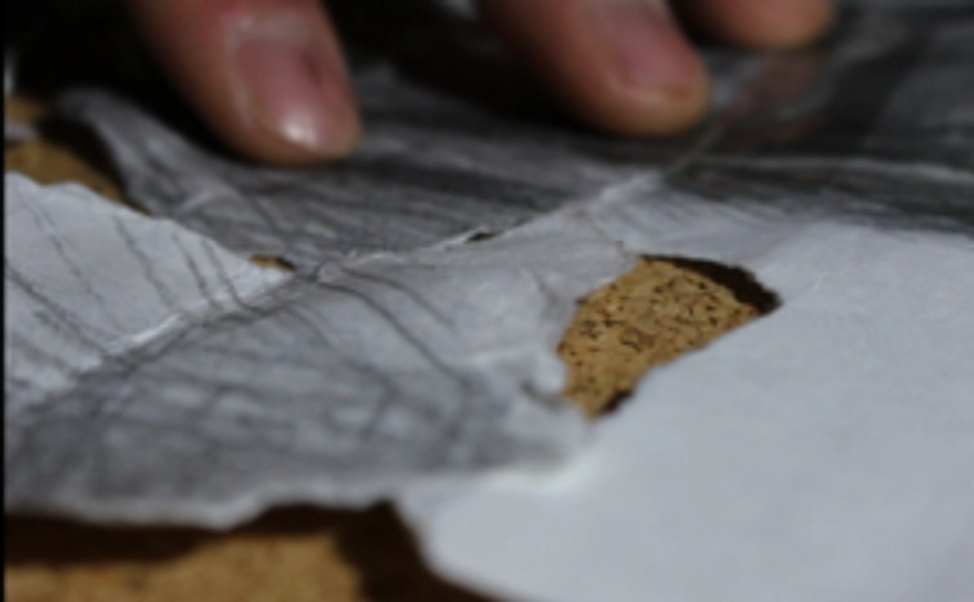 エンドロールにクレジット